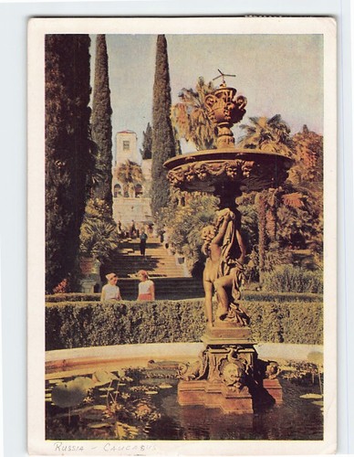 Postcard sochi arboretum - postcard,